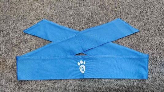 power paw headband - Powerbunnyz